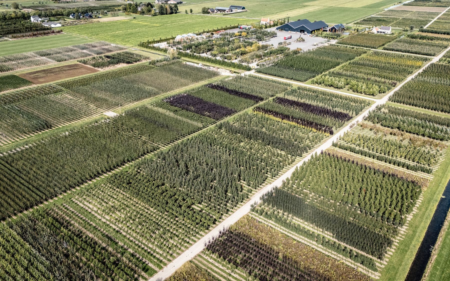 Luchtfoto van een kwekerij met naast elkaar liggende percelen die duidelijk in kleur en gewas verschillen