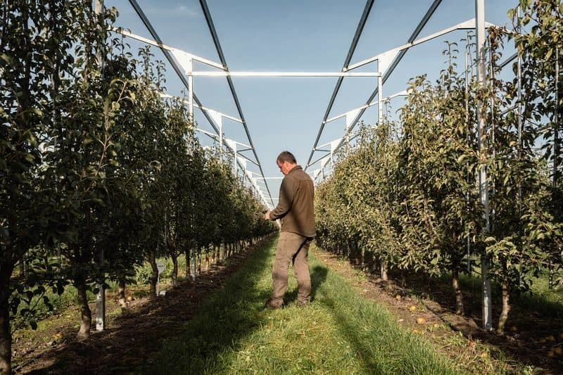 Leren vertrouwen op de gegevens: Waarom slimme irrigatie tijd kost